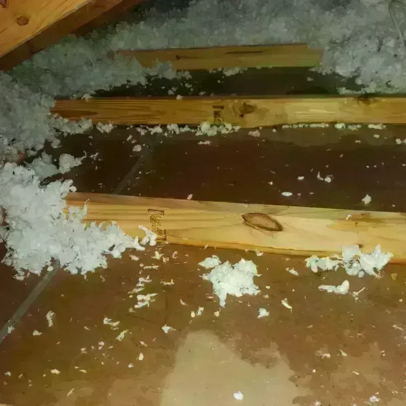 Attic Water Damage in Fort Rucker, AL